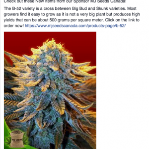 MJ Seeds Canada FB 11/03/14