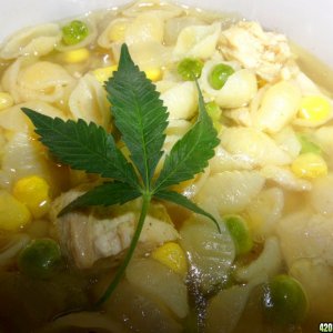 Savory Canna Chicken Noodle