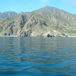 420_Fishing_Catalina_Island_576