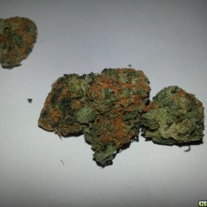 Chemdawg Nov 2014