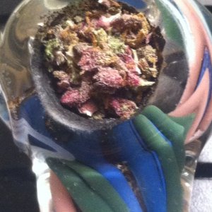 Pack a bowl :)