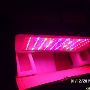 Mars Hydro LED Grow Light 100x3w