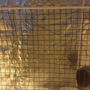 36x45 pvc & clothesline screen-$30