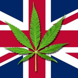 uk-flag-marijuana-leaf