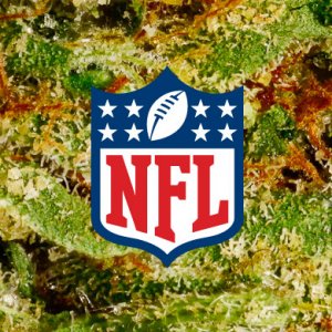 NFL-and-marijuana