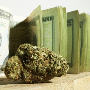 Marijuana-money-580x387