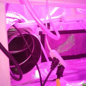 High Pressure Aeroponic DIY System - Trail Run