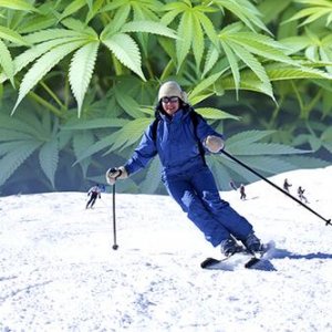 marijuana-skier-500