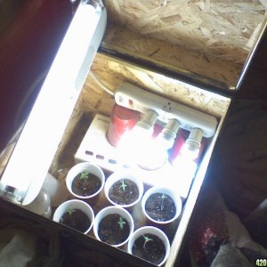 grow box