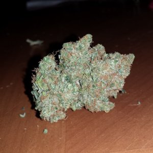 Durban Poison