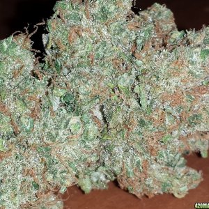 Durban Poison