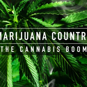 marijuana-country-thumb