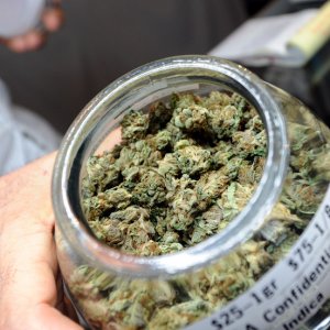 120101084034-medical-marijuana-horizontal-large-gallery