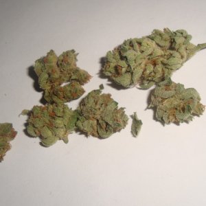 Platinum Master Kush 4-19-09