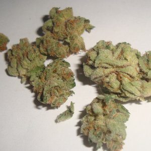 Platinum Master Kush