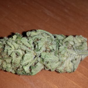 Kandy Kush