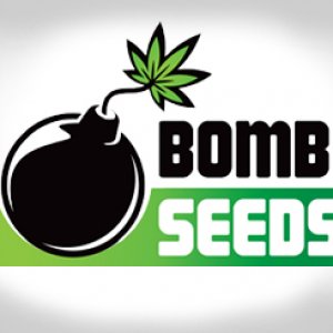 Bombseeds Logo