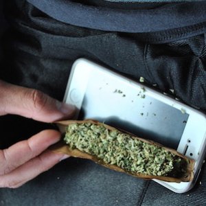 blunt and cell phone