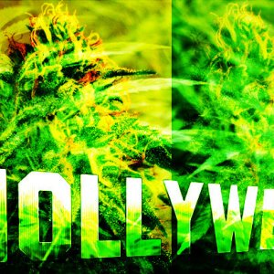 Hollyweed