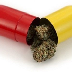 cannabis capsule