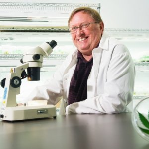 scientist with pot leaf