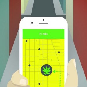 marijuana app graphic