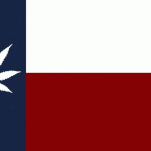 texas flag