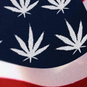 cannabis flag