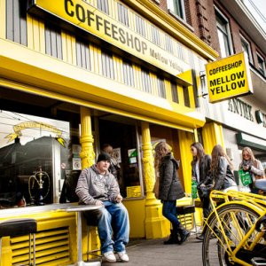 mellow yellow coffeeshop