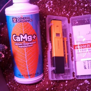 Antics Big Bang LED Grow