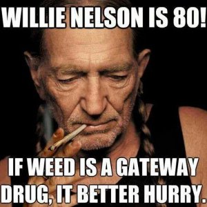 meme- willie nelson