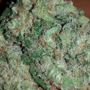 Durban Poison