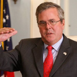 jeb bush