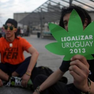 pot leaf sign uruguay