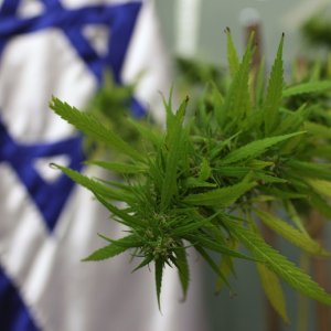 israel flag with plant