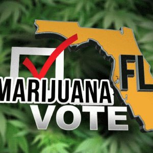 florida marijuana graphic