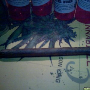 420 Blunt