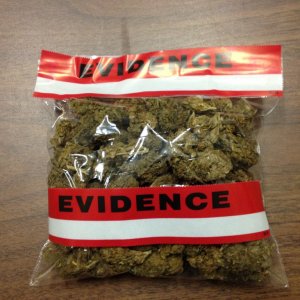 evidence bag of bud