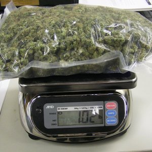 pound of marijuana