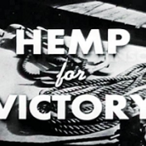 hemp for hp