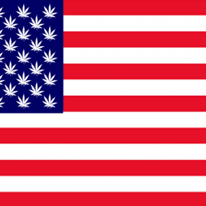 american flag