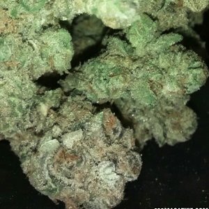 Phantom Cookies #1 "CLOSE-UP"