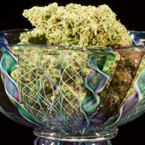 bowl of bud