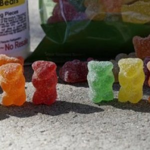 gummy bears