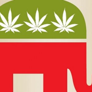 republican marijuana