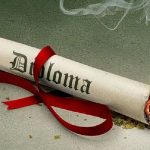 joint diploma