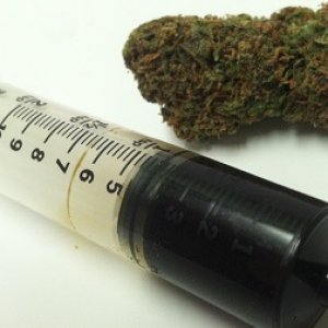 oil syringe and bud