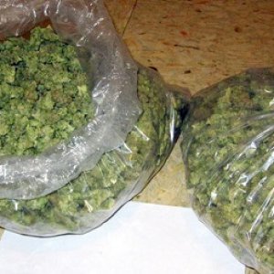 bud in bags