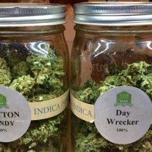 buds in jars