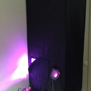 Grow Tent 2015